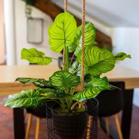 Daire Authentique Studio Hypercentre - Clim - Wifi Nîmes