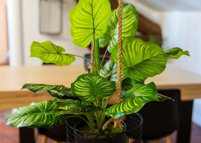 Appartamento Authentique Studio Hypercentre - Clim - Wifi Nîmes